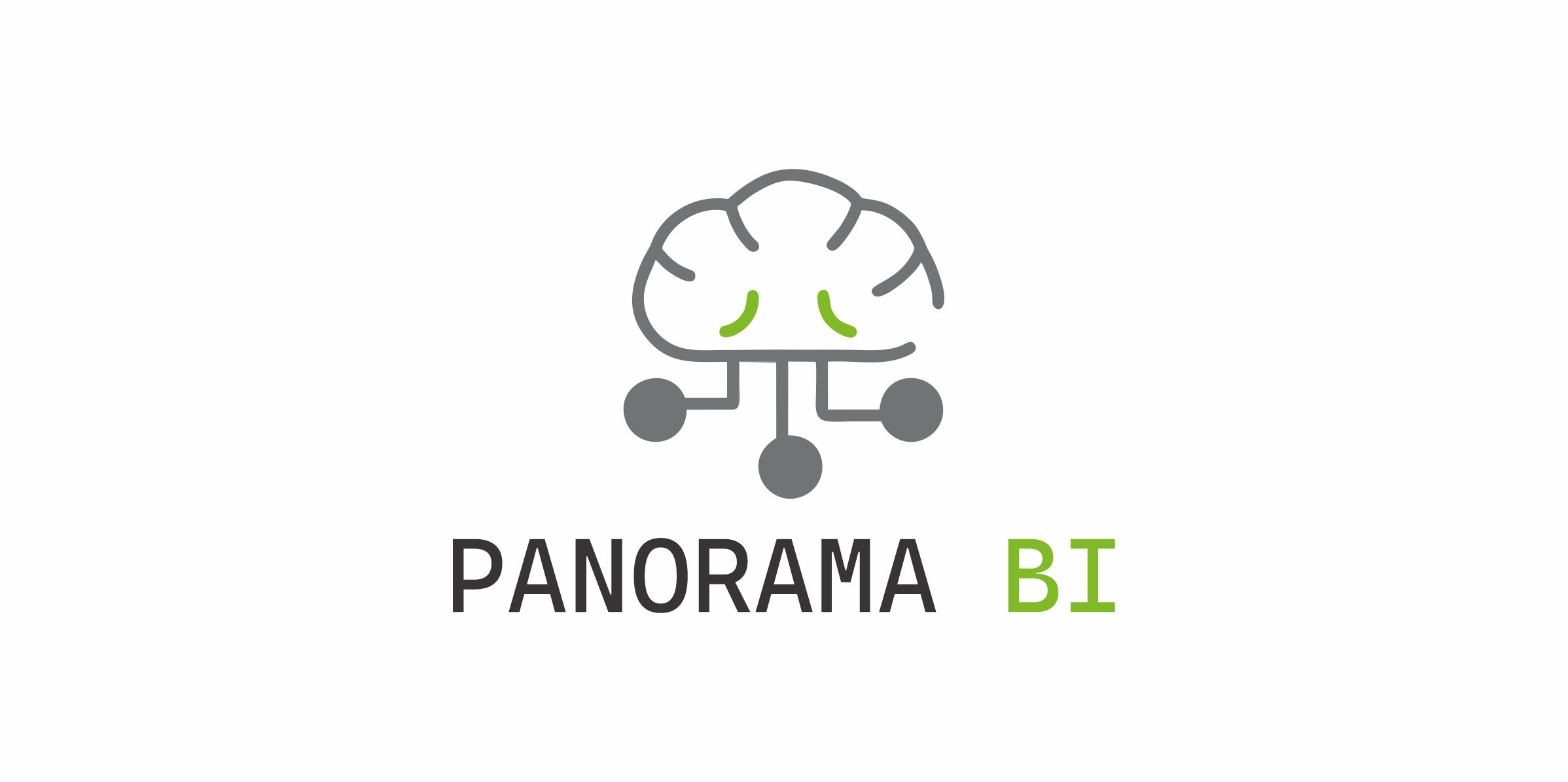 Panorama BI